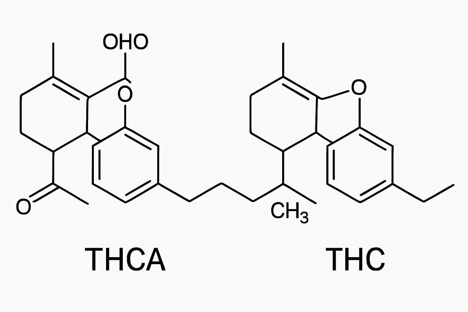 Discover the fascinating world of THCA in our comprehensive guide. Learn about its effects, benefits, and how it differs from THC. Uncover the science behind this non-psychoactive compound and its potential impact on health and wellness.